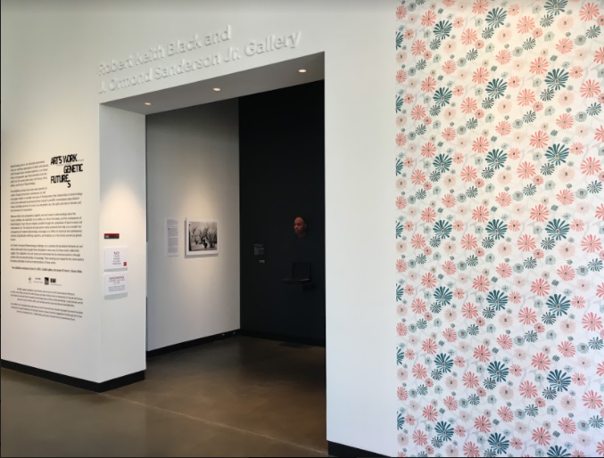 Art’s Work in the Age of Biotechnology at the Gregg Museum of Art & Design in Raleigh, NC. Installation image by Matthew Gay, courtesy of the Gregg Museum of Art & Design, 2019-2020.